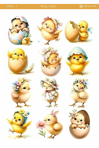 MirayDesign 1 Foaie de autocolante cu tematică pui de găină – Jurnal și Plani...