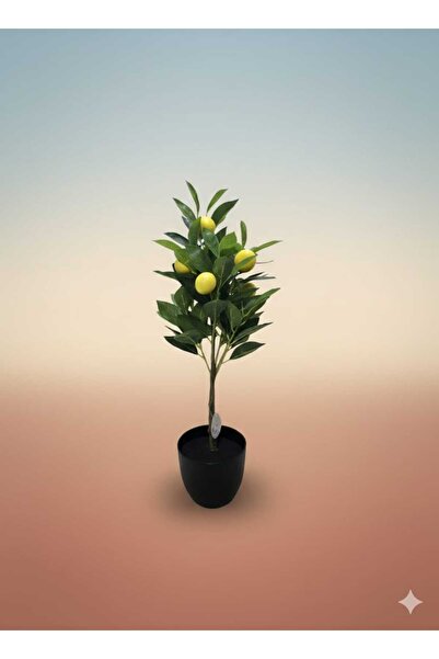 OEM Lămâi Artificial Decorativ Premium