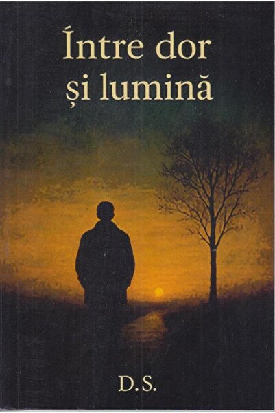 Editura Lizuka Educativ Between longing and light, Dan Stefan Donea