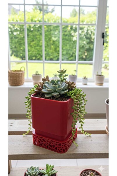 Rivon Desing ROSALİ drenaj delikli saksı ve altlığı