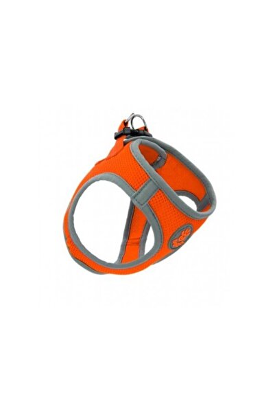 Doco حزام أمان شبكي سريع التثبيت من أثليتيكا (DCA306) [المقاس - كبير، اللون -...