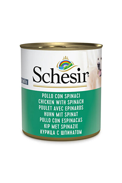 Schesir طعام رطب للكلاب في علبة جيلي - دجاج مع سبانخ 285 غرام