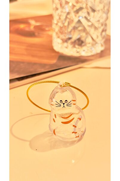 MAHLA Cat Hair Filling Keychain - Cat Hair Storage Keychain - Transparent Key...