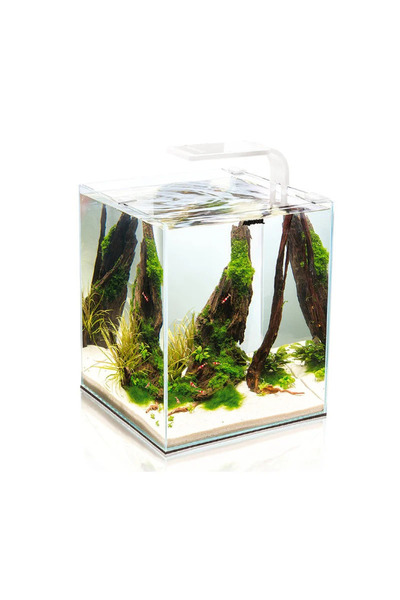 Aquael مجموعة روبيان سمارت وايت - نهارًا وليلاً [الحجم - 10 لتر]