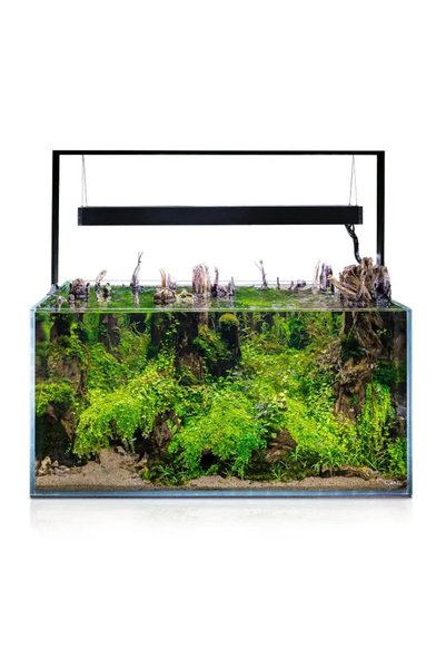 Aquael UltraScape Forest Aquarium[Volume - 60L]
