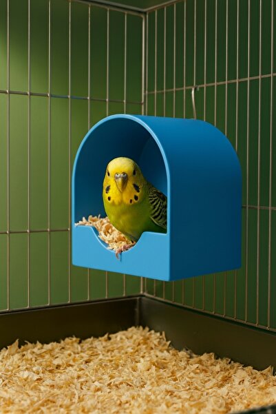 MD×JOA Muhabbet Kuş Yuvası ※ Kuş Evi ※ Mavi ve Tonları ※ Kuş Kafesi ve Habita...