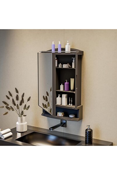 Happer Plastic Premium Multipurpose Wall Mounted Storage Cabinet with Mirror,...