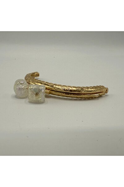 Aynalı مشبك محفظة أكيد ذهبي