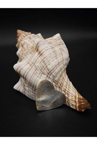 NESGO MODA قلادة على شكل قلب طبيعي (قطعتان/3.5 سم)