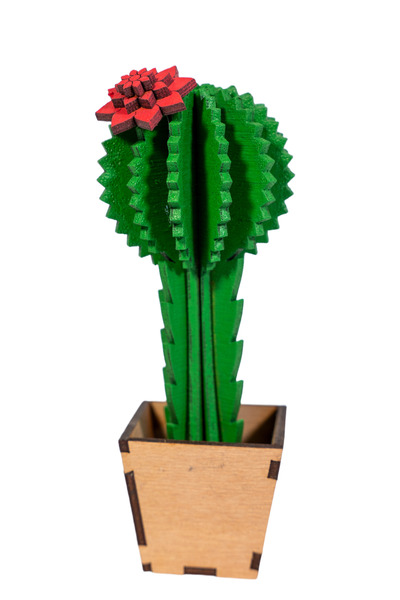 Amco 3D Wooden Cactus – Modern Design, Decor, 13 cm