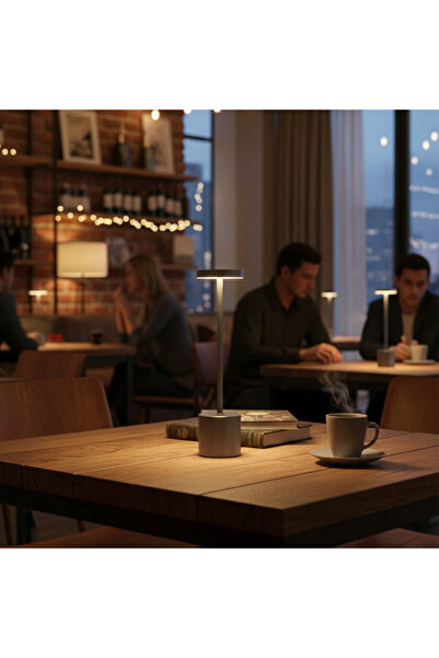 Panther PT-704 GÜMÜŞ USB ŞARJLI MASA LAMBASI