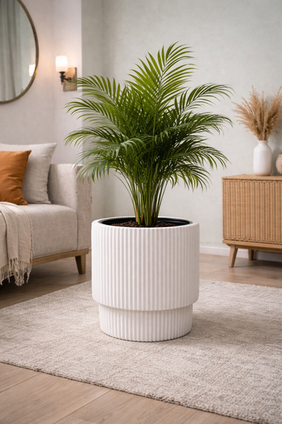 eya garden Linea Serisi Dekoratif Çizgili Büyük Boy Saksı - 32x32 cm