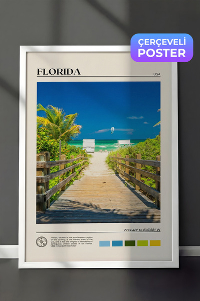 Zestia Bela uokvirena zidna slika, pejzaž Florida plaže, gradski prizor, deko...