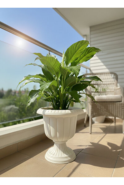 eya garden Classic Ayaklı Saksı - Büyük Boy 35x30 cm