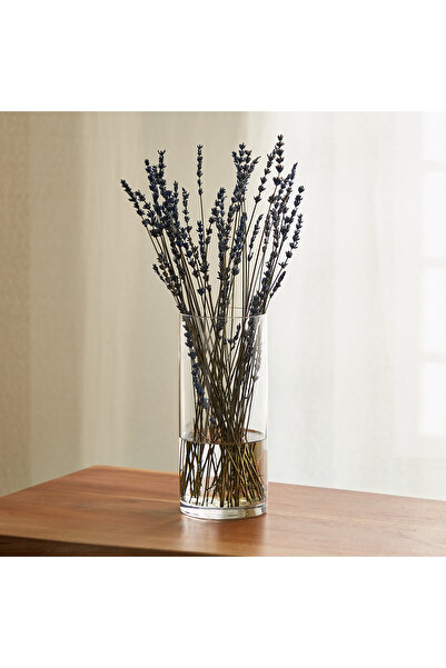 Home Box Atlanta Cylindrical Clear glass Vase - 10x23 cm