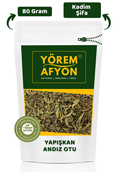 Gülçehre The Legacy of Ancient Healers from the Region of Manisa Akhisar: Gen...