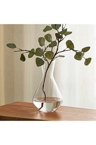 Home Box مزهرية زجاجية شفافة من أتلانتا - 16.5 × 28 سم