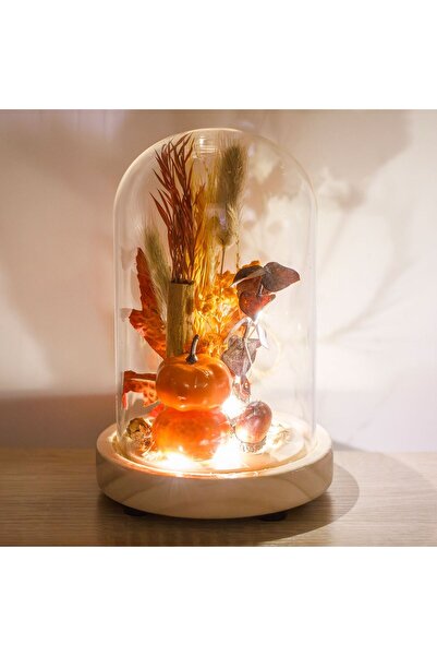 OEM Cupola Decorativa cu Dovleci Plante Uscate & Lumina Ø12x18cm