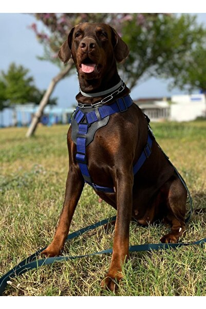 VSLT HANDMADE El Yapımı-Taktik Koruma-Avcılık-K9 Göğüs Tasma.SORU CEVAP OLARA...