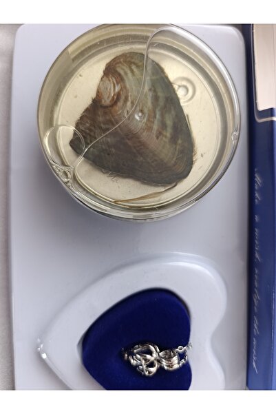 Dizzy Midye inci kolye