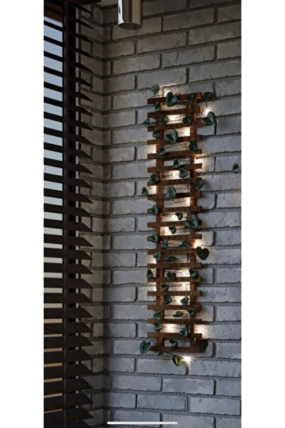 DDTREND Merdiven Ledli Pilli Çamağacı Ahşap Saksı Sarmaşıklı Çiçeklik Kış Bah...