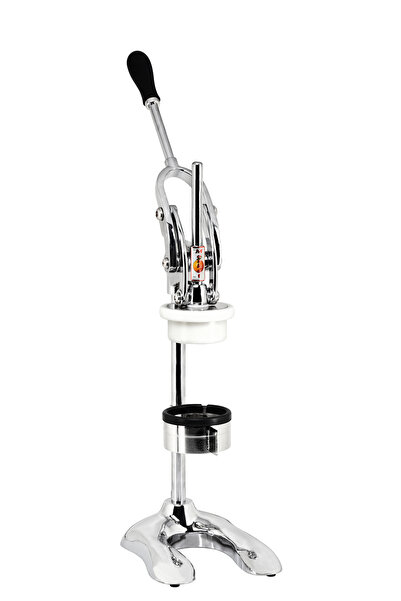 Maskot Ananas Kesici