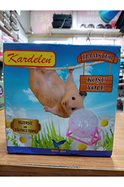 Kardelen Hamster Topu Koşu Yolu Küçük Boy (13 Cm) Egzersiz ve Eğlence Topu