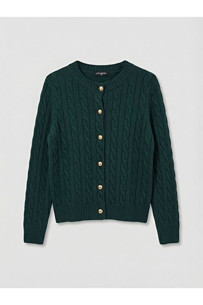 LC Waikiki Crew Neck Patterned Women's Knitwear Cardigan