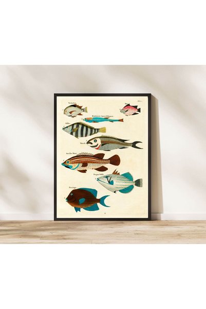 NinaStore Vintage Balık Baskısı Balık Posteri Vintage Balıkçılık Duvar Sanatı...