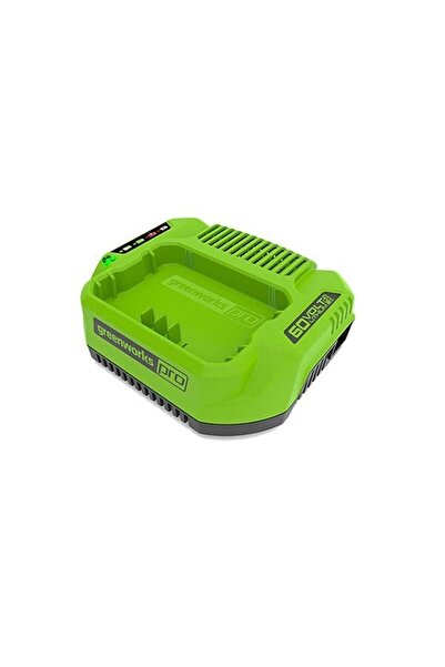 Other Încărcător GREENWORKS G60UC 60V 2A