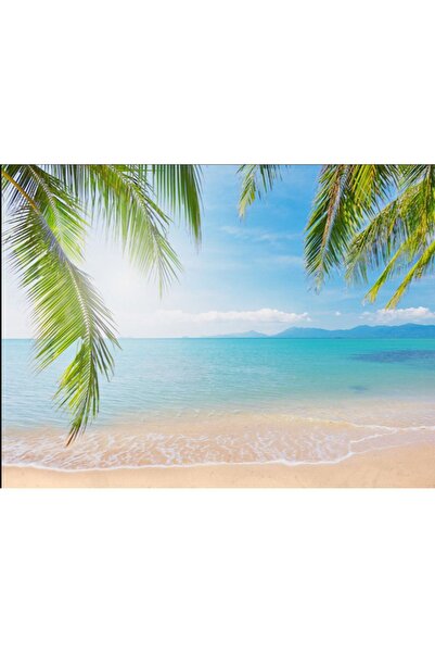 PROMISEBACKDROP2 خلفية تصوير فوتوغرافي من القماش للأطفال والكبار مقاس 200 × 2...