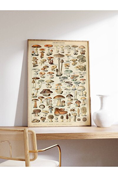 NinaStore Adolphe Milliot Vintage Sanat Posteri Mantarlar Mutfak Yaban Hayatı...