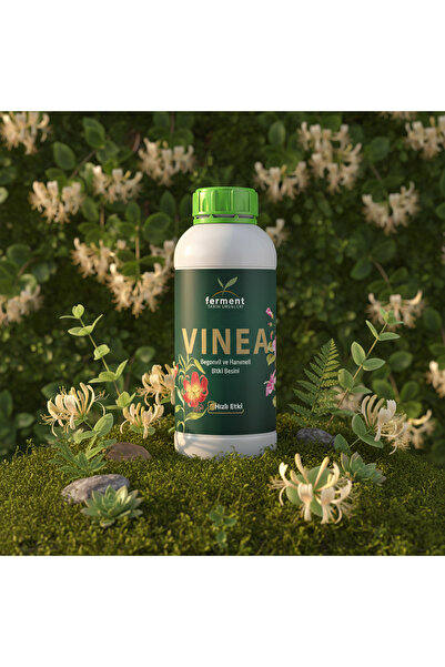 Ferment Begonvil ve Hanımeli İçin Hızlı Büyüme - Vinea Üçlü 500 ml (3 Adet) D...
