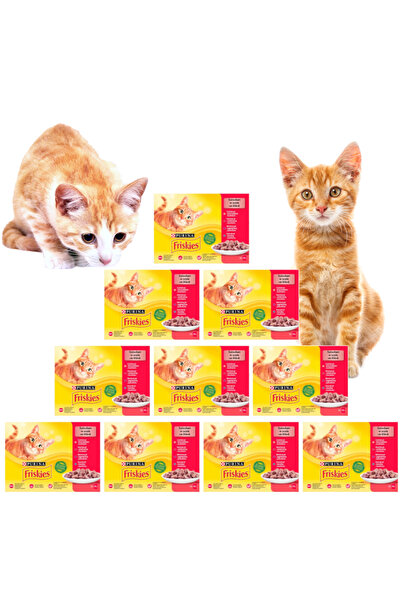 Other FRISKIES MP Carne 120x85g