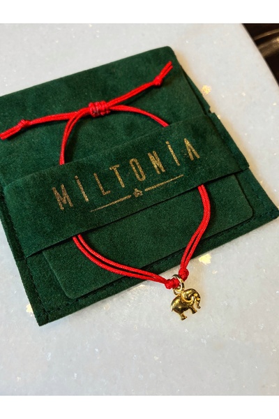 Miltonia 925s Gümüş Şans Fili Kırmızı İp Bileklik