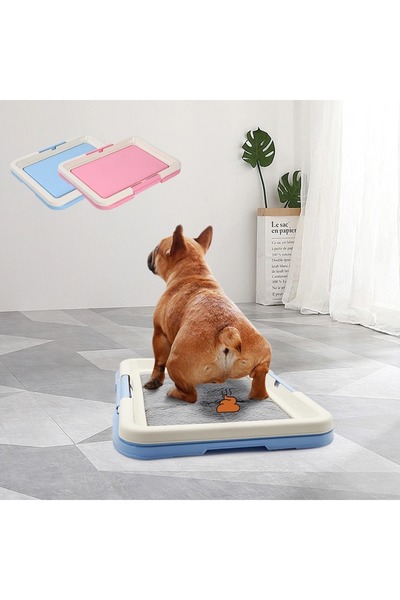 FeyzaDesign Pratik Taşınabilir Köpek Eğitim Tuvaleti ve Kedi Kumu Kutusu Seti