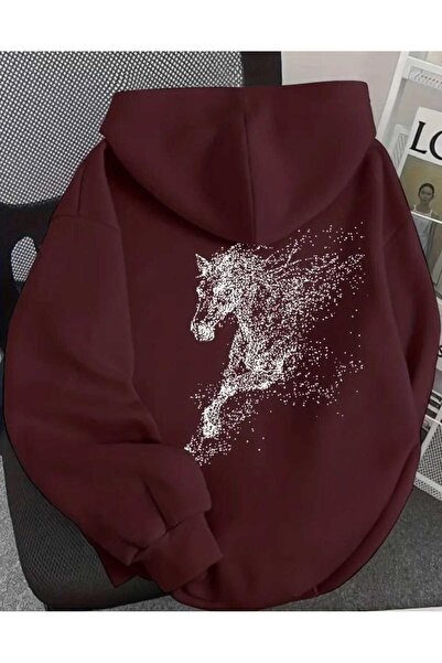 DİVİN Bordo Hooded Sweatshirt – Warm, Comfortable, and Trendy Design
