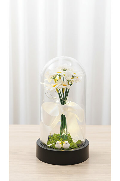 Çiçek 14 Şubat Sevgililer Günü Hediyesi LED Işıklı Cam Fanus Papatya