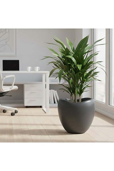 CANBOTANİK Lale Saksı Antrasit 52 Litre Modern Tasarım Büyük Boy İç Mekan Sak...