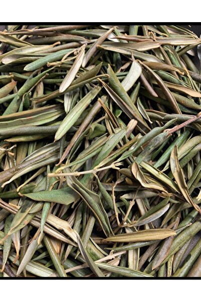 şifacı teyze Zeytin Yaprağı Çayı Taze Toplanmış (Olive Leaf) Delice Zeytin Ya...