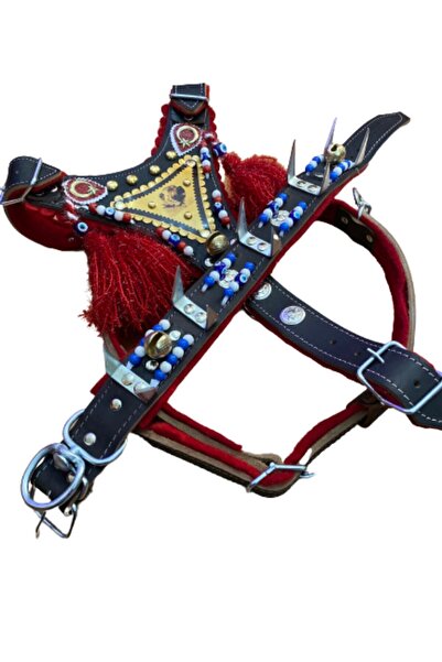FeyzaDesign Kangal Köpek Gladyatör Tasma ve Göğüslük Seti, Hakiki Deri, Dayan...