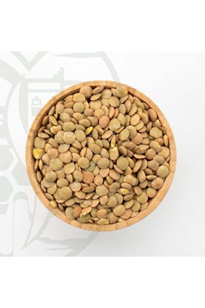 alatar عدس أخضر 1 كيلوغرام