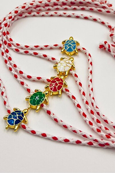 Concept HuBuTU 5 Pieces of Turtle Figured Card Gelatin Luxury Marteniçka Wish...