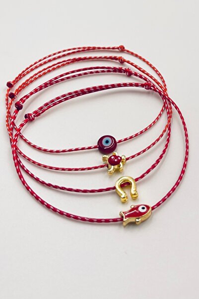 Concept HuBuTU 4 Pieces of Fish, Turtle Figured Cards, Gelatin Marteniçka Wis...