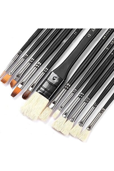 DELPI Set de 12 pensule de vopsea