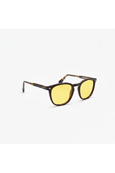 Kappa Polarized Driving Glasses