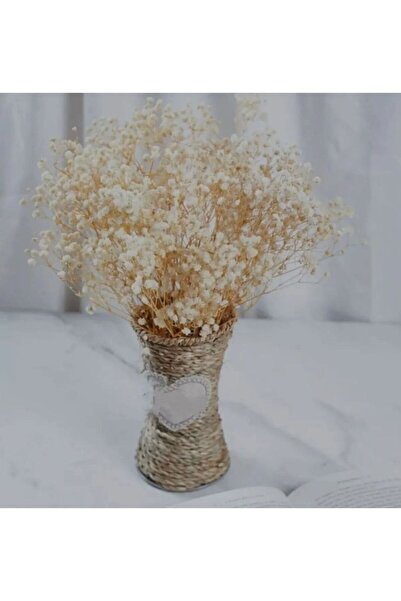 DİSAVERA Dry Flower Natural Cream White Cipso 1. Quality Is Unbreakable Even ...