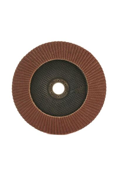 Evelise Ελασματοειδές μετωπικό Abraziv/smirghel, P100, 115 mm