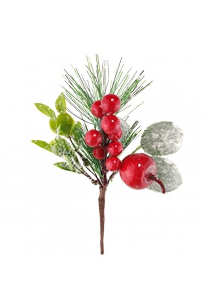 Decoratiuni Dulci Winter branch with apple, pine, red berries and rose leaves...