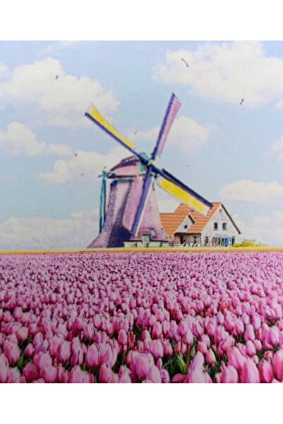 mentaş grup Diamond Painting Beaded Tapestry Mosaic Puzzle Crystal Stone Boar...